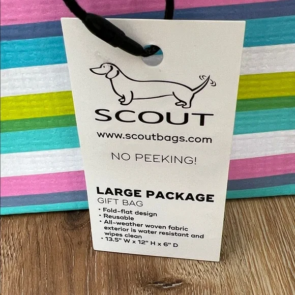 SCOUT Vibrant Striped NWT Large Package Gift Bag 13.5” W x 12” H x 6” D - Picture 15 of 16
